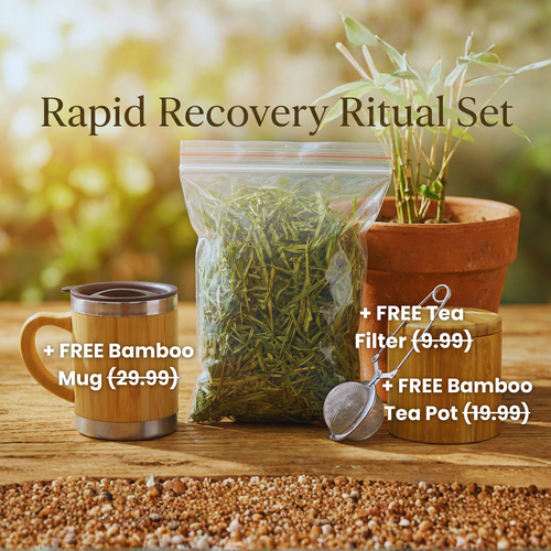 The Rapid Recovery Ritual Set (30 Day Supply)